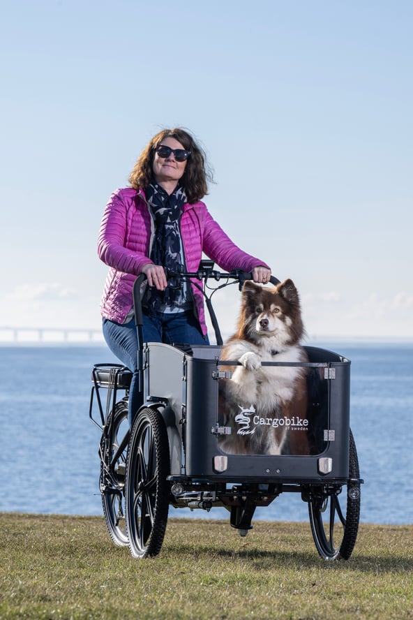 Cargobike Flex Dog