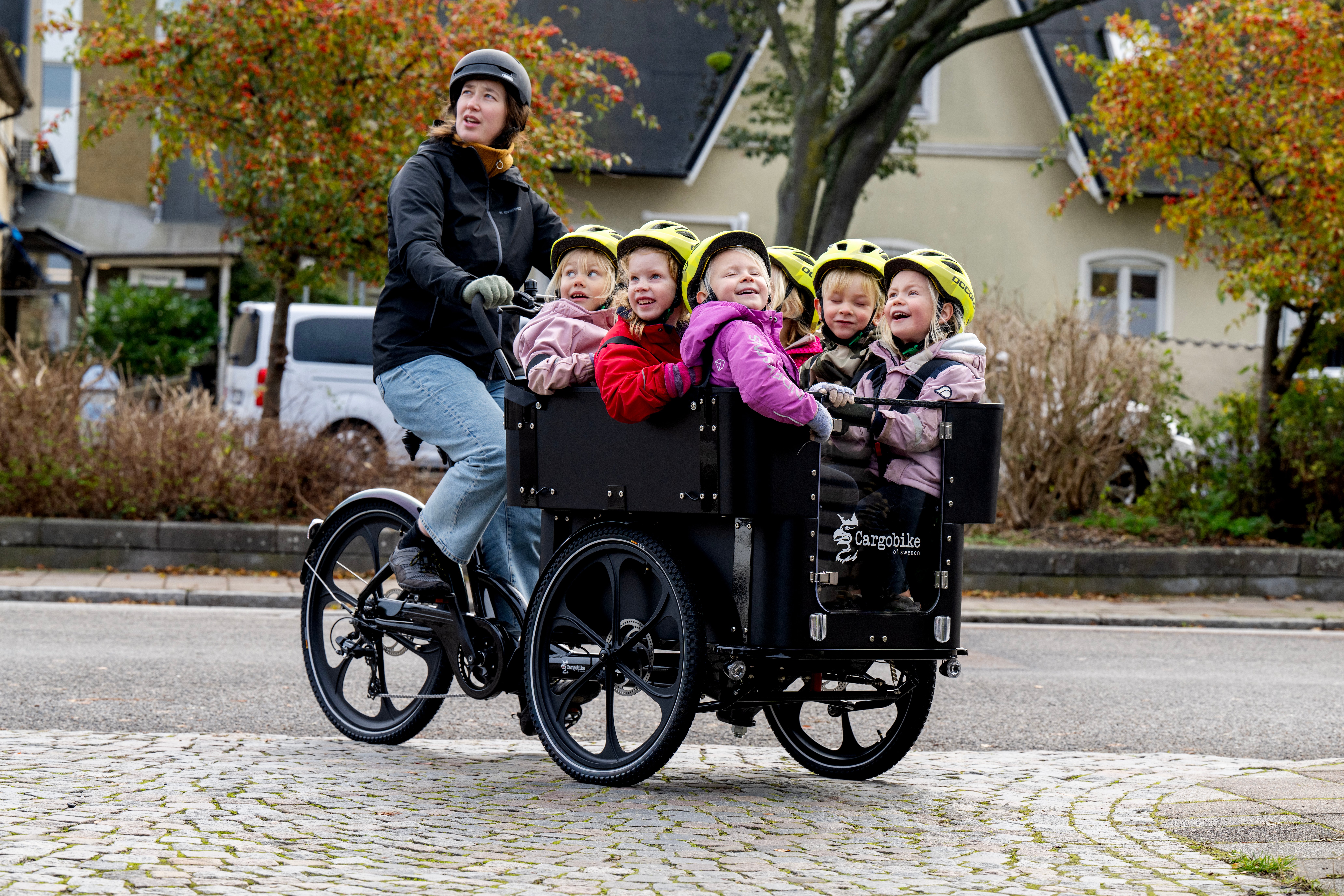 Cargobike Kindergarten 3