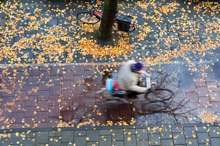 6538bc04b61099330ea248c4_iStock-175187906