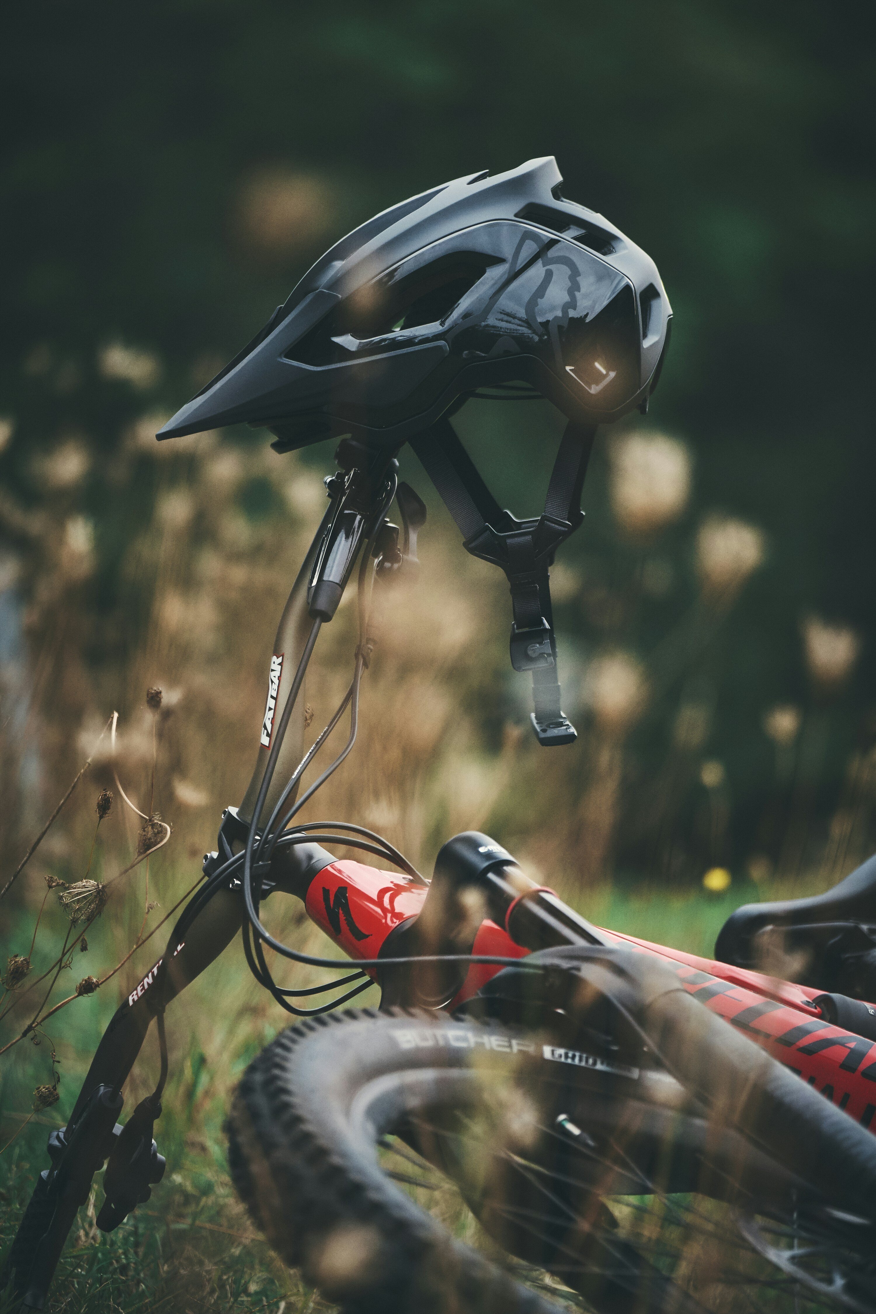 Specialized