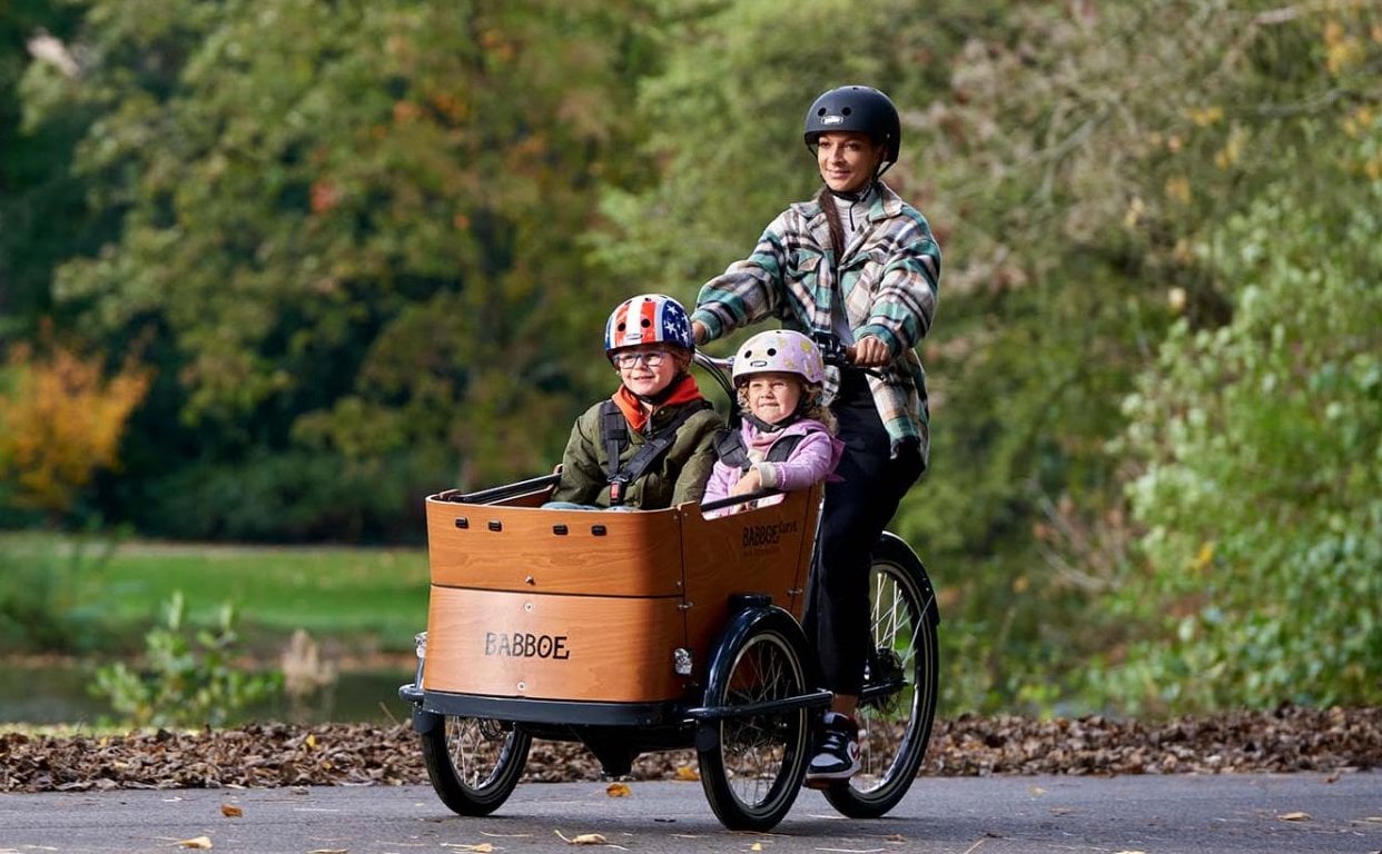 Vapaus Offer Babboe Curve Mountain 3 wheel cargo ebike